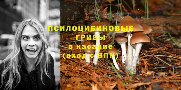jwh Богородицк