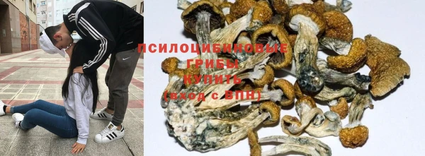 jwh Богородицк