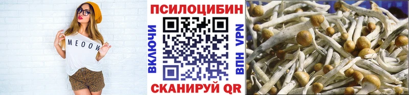 блэк спрут зеркало  Мещовск  Псилоцибиновые грибы Cubensis  где найти  