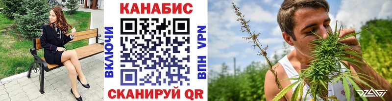 Конопля гибрид  Мещовск 